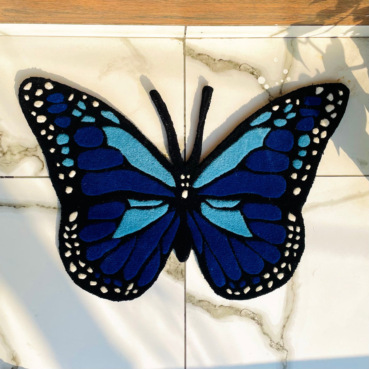 blue butterfly rug top view