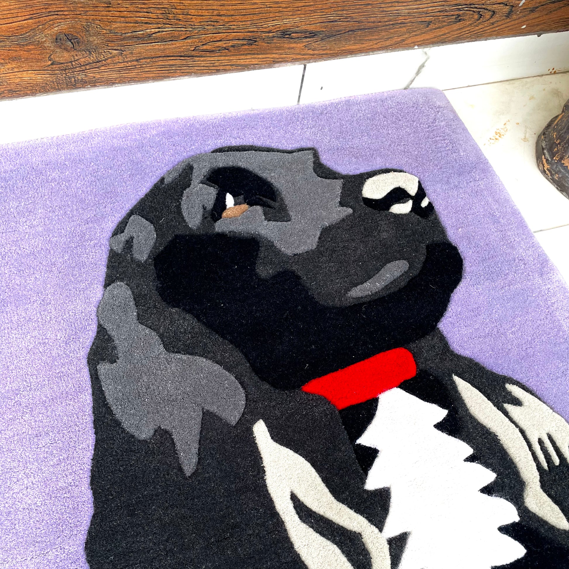 Cocker Spaniel Hand-Tufted Rug closeup